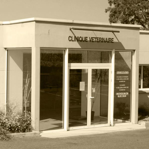 L'Histoire de la Clinique