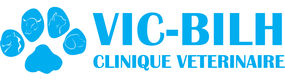 Logo VIC-BILH Vétérinaires