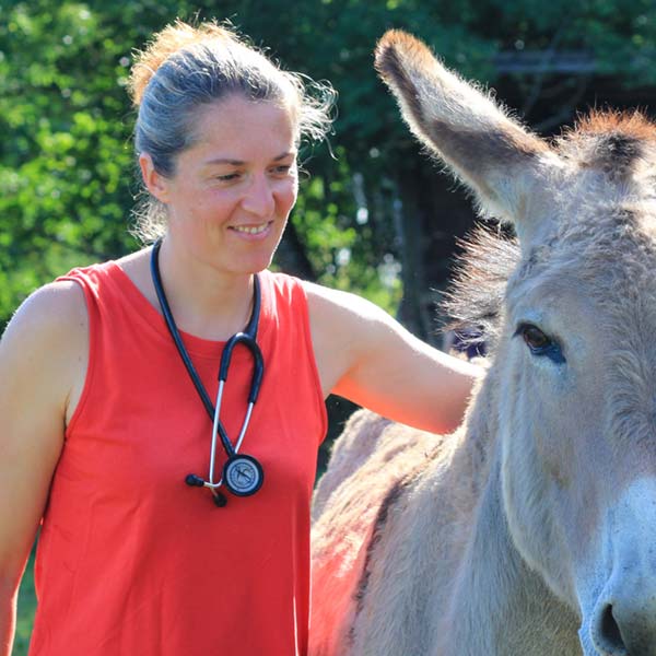 Dr Lise DE CLERCK