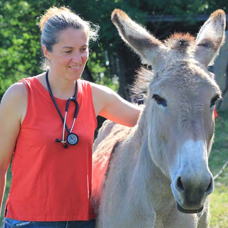 Dr Lise DE CLERCK